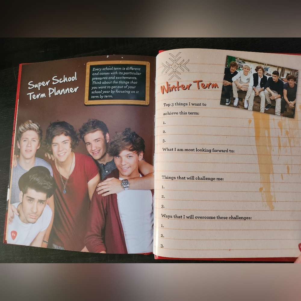 One Direction Secret Notebook 2013 - Picture 5 of 14